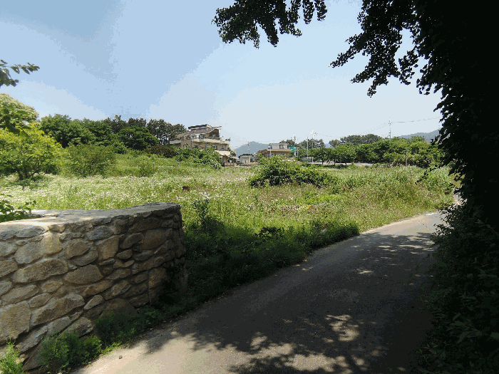 사진 8