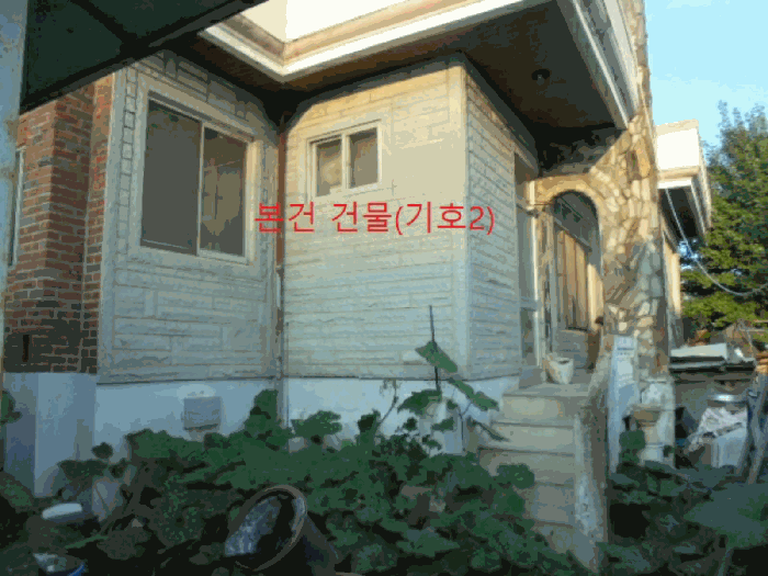 사진 11