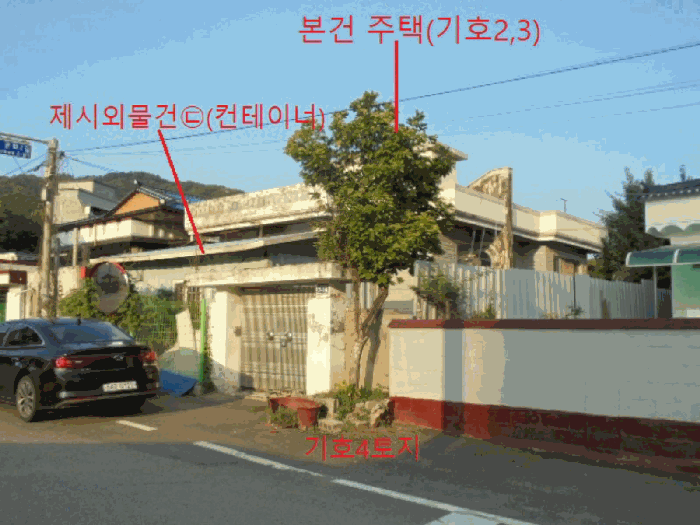 사진 12