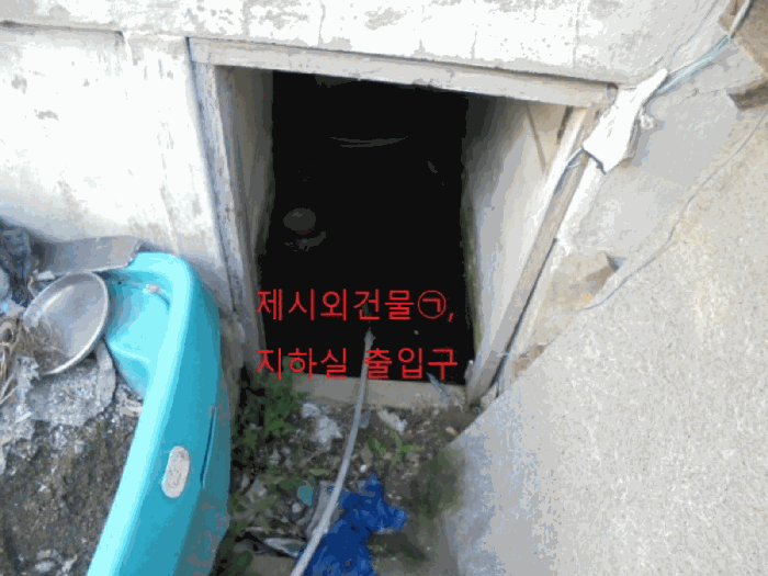 사진 13