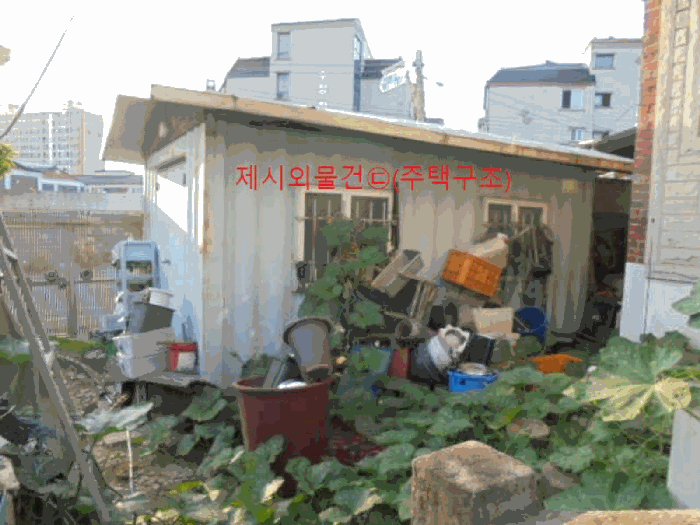 사진 22