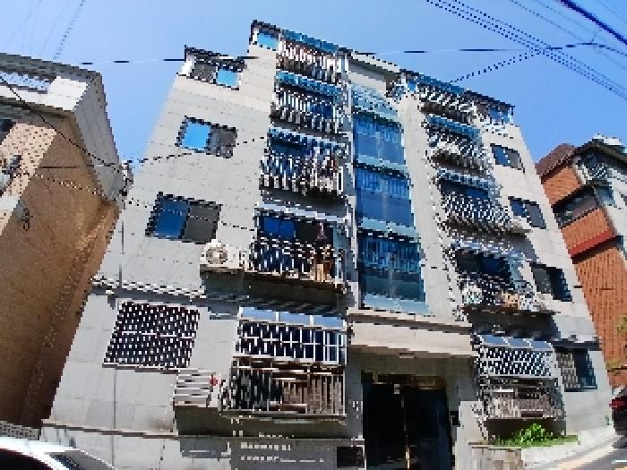 사진 11
