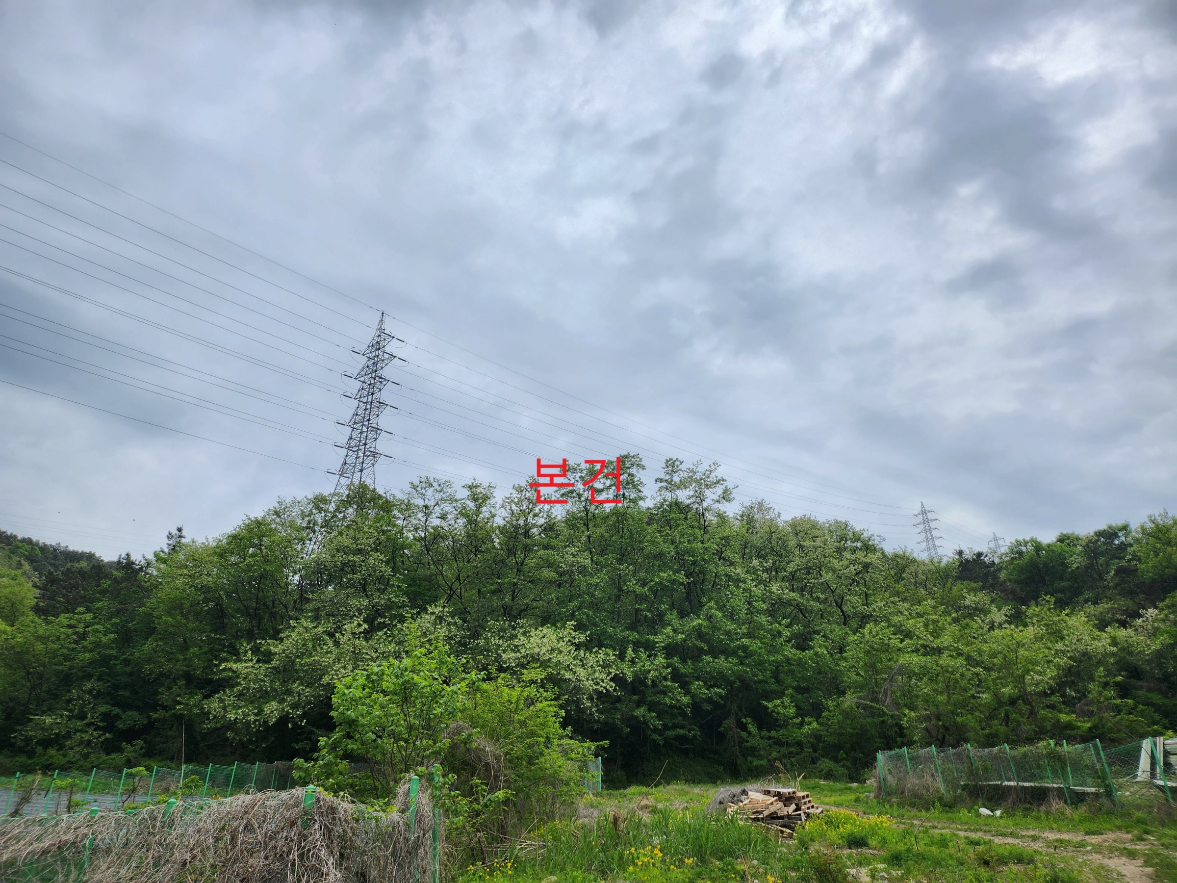 사진 1