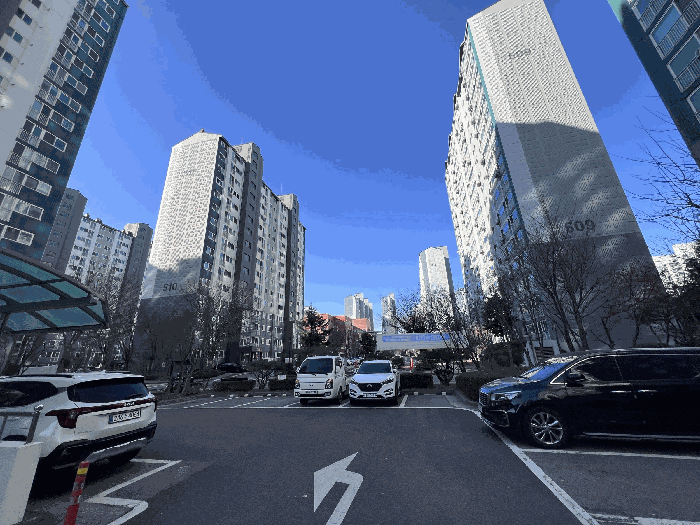 사진 10