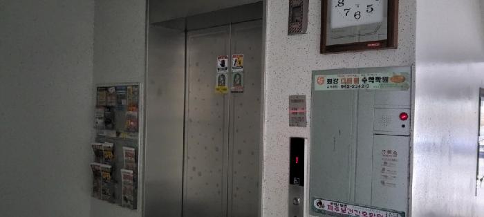 사진 5