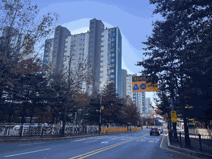 사진 8
