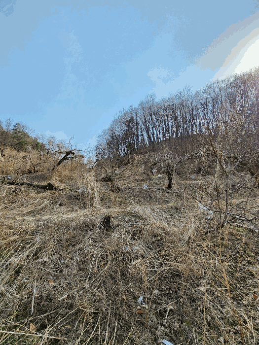 사진 14