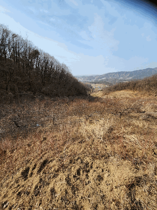 사진 27