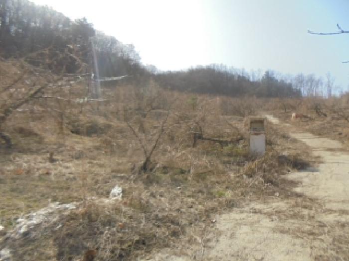 사진 8
