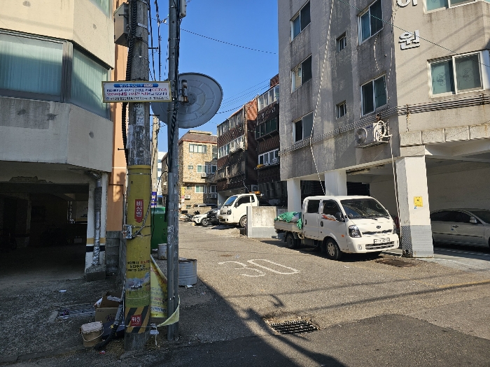 사진 11
