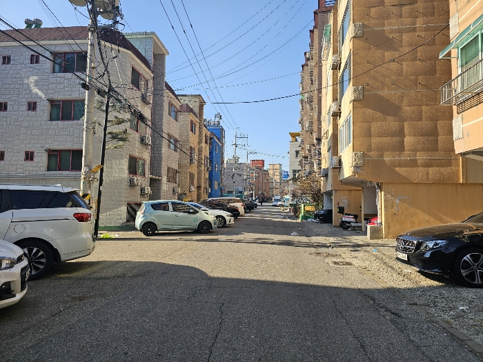 사진 8
