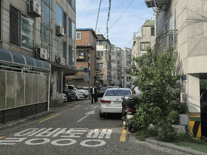 사진 5