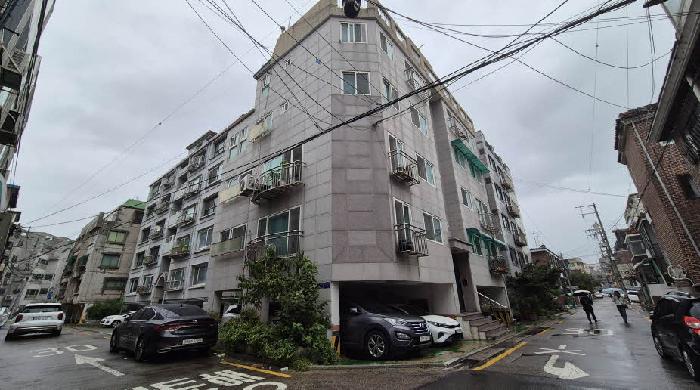 사진 7