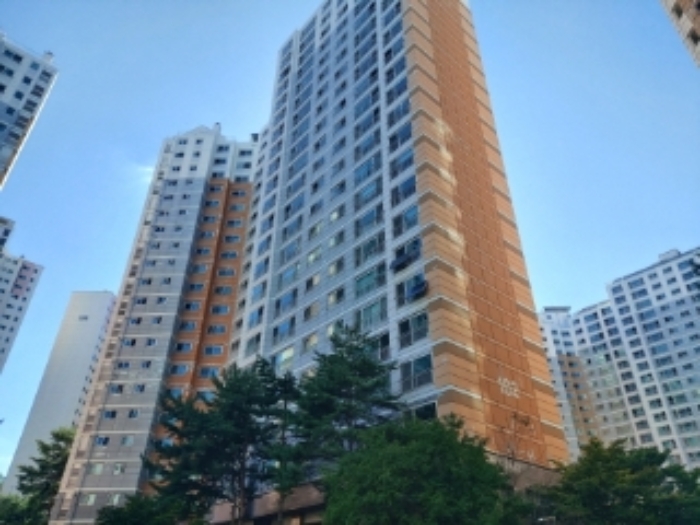 사진 2