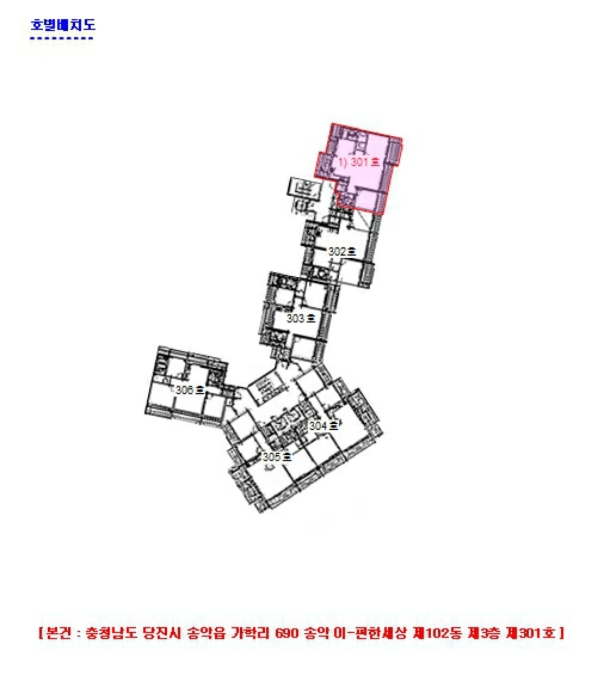 사진 5