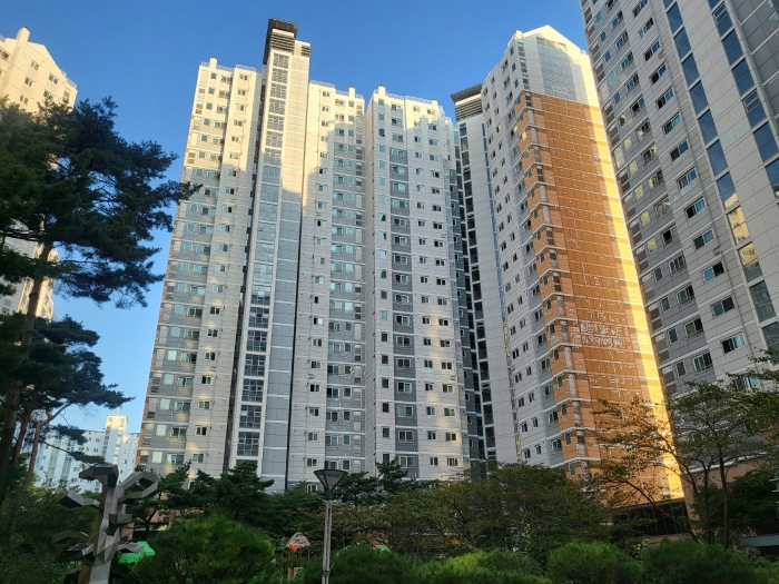 사진 9
