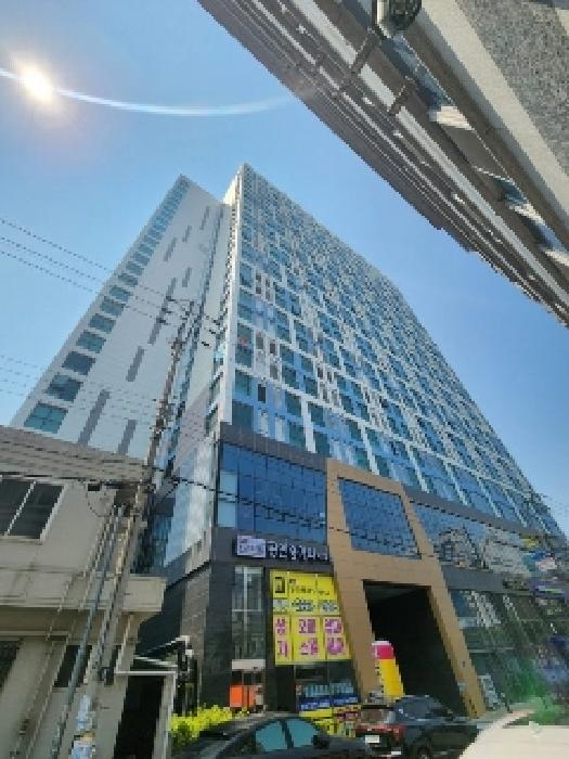 사진 7