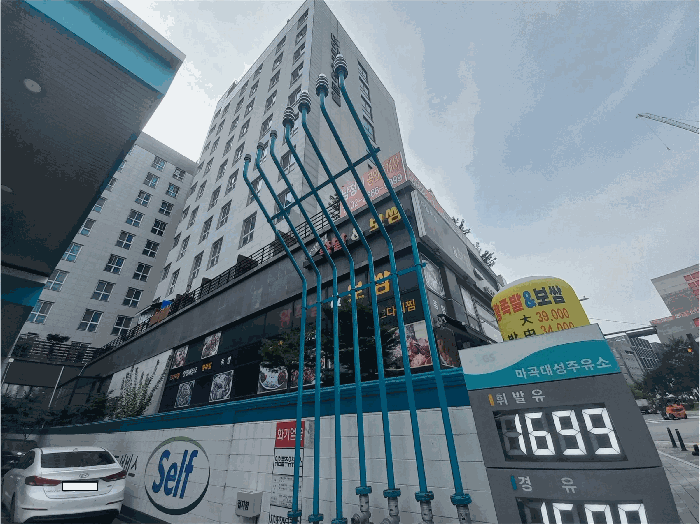 사진 11
