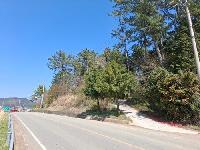 사진 2