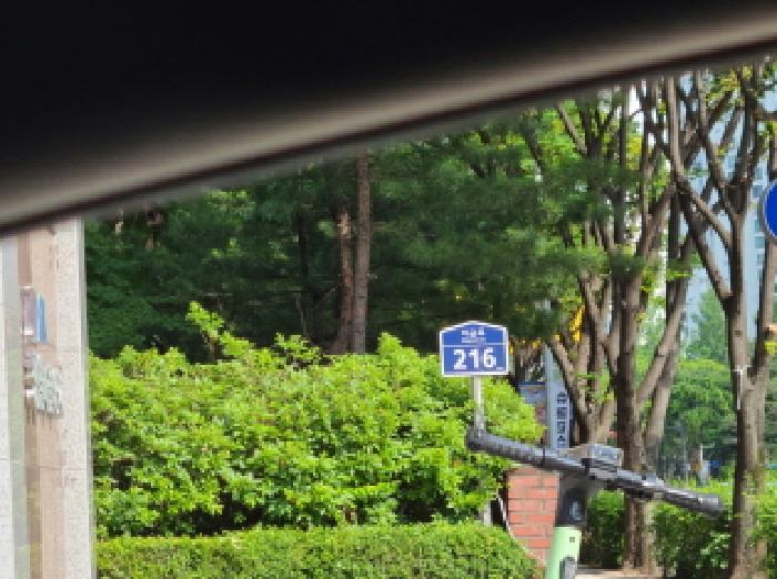 사진 2