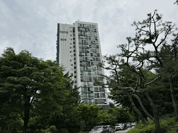 사진 10