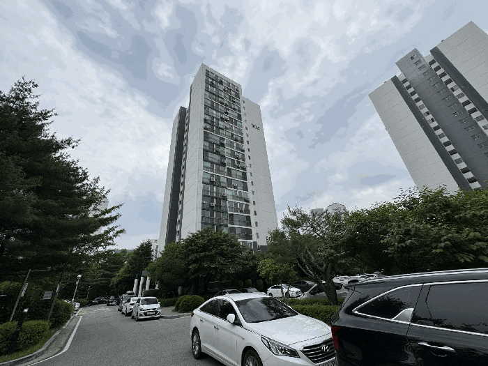 사진 12