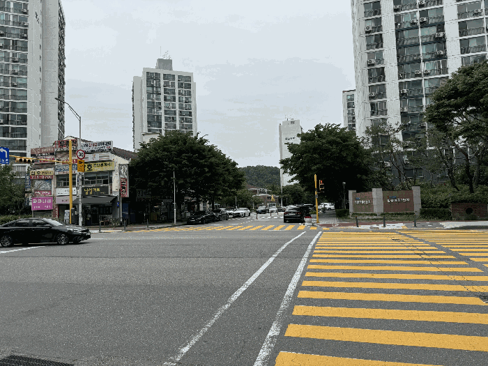 사진 8