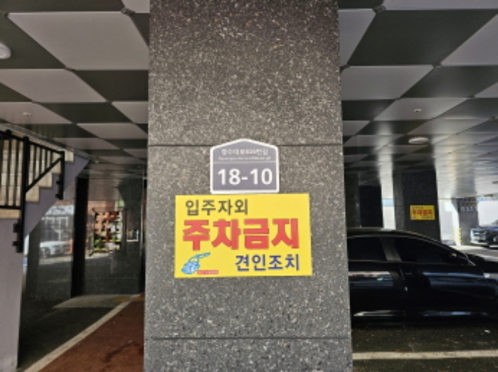 사진 5