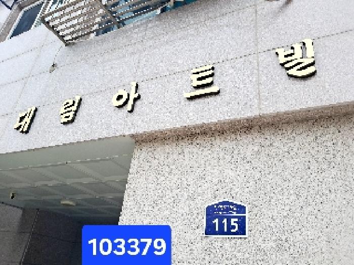 사진 13