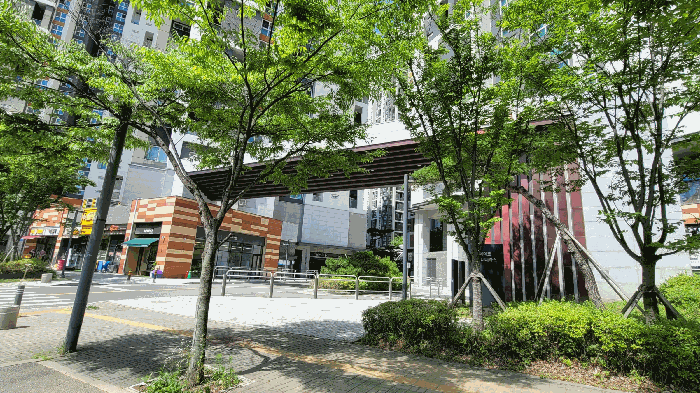 사진 7