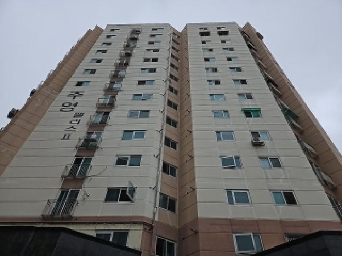 사진 6