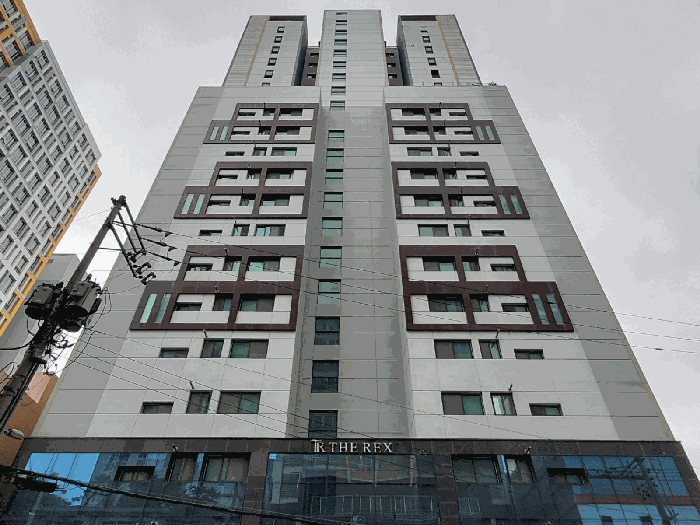 사진 5
