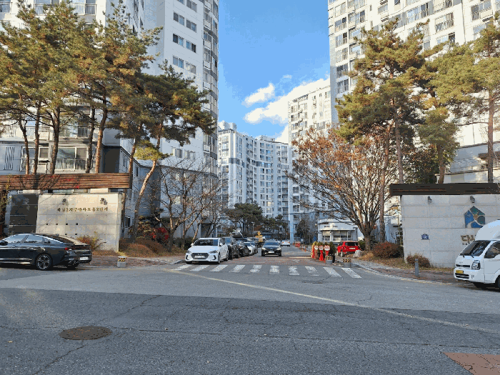 사진 5