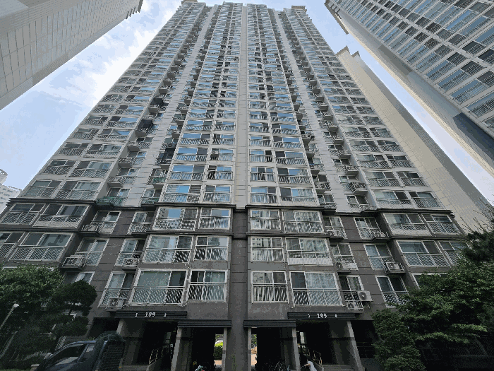 사진 14