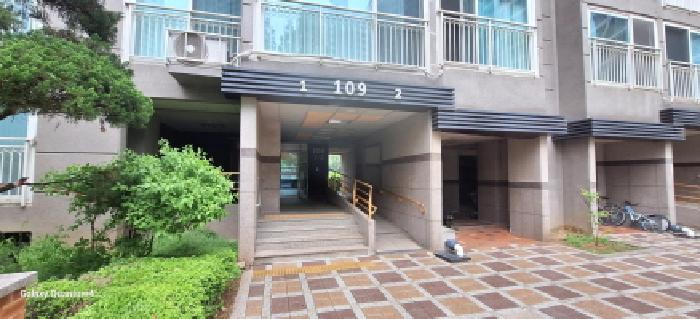 사진 5
