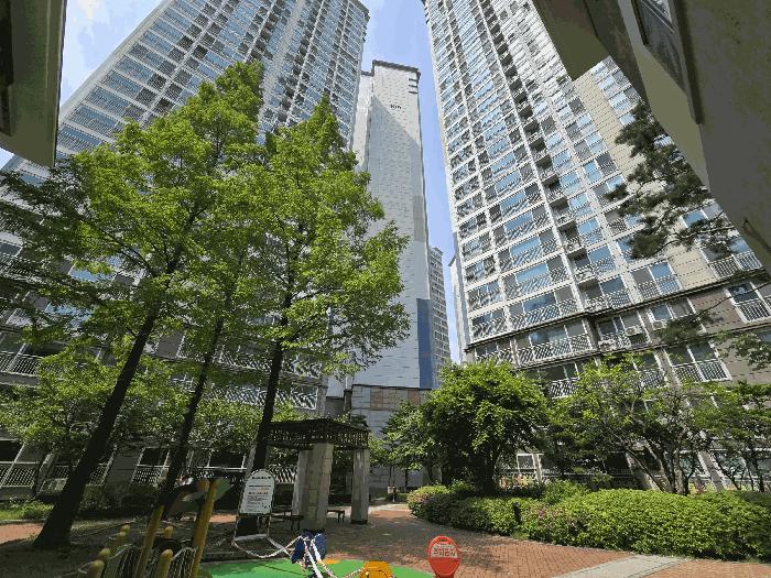사진 7