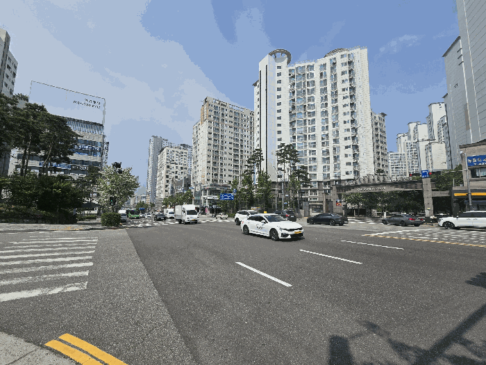 사진 9