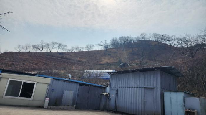 사진 5
