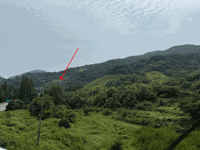 사진 7