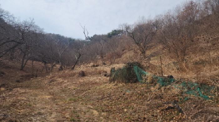 사진 1