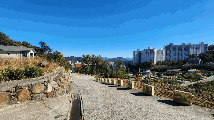 사진 12