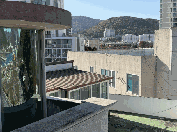 사진 13