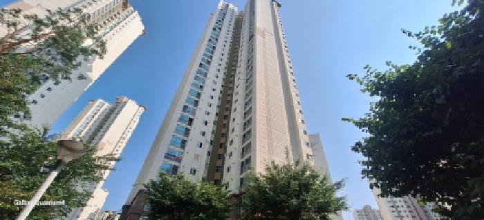 사진 4