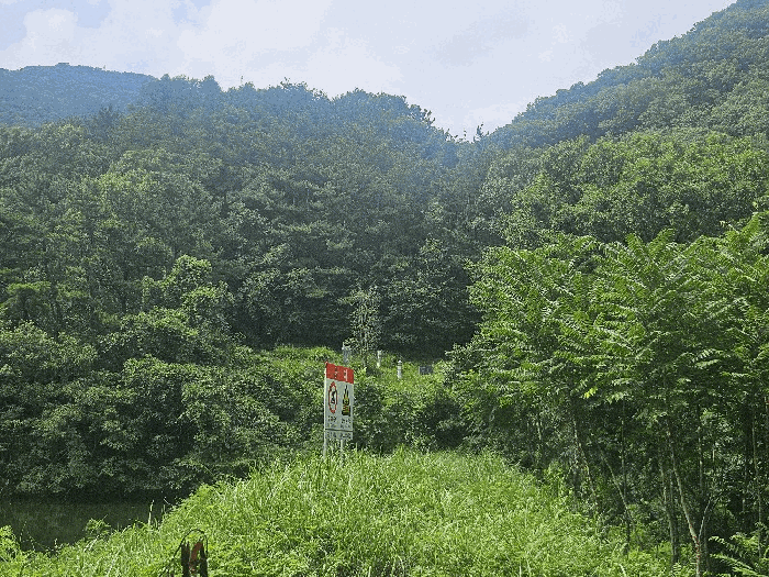 사진 1