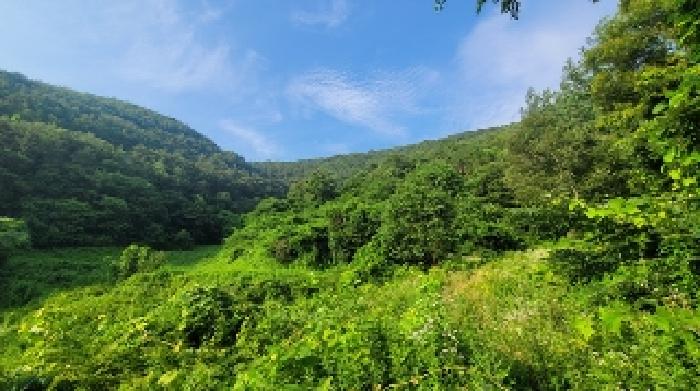 사진 6