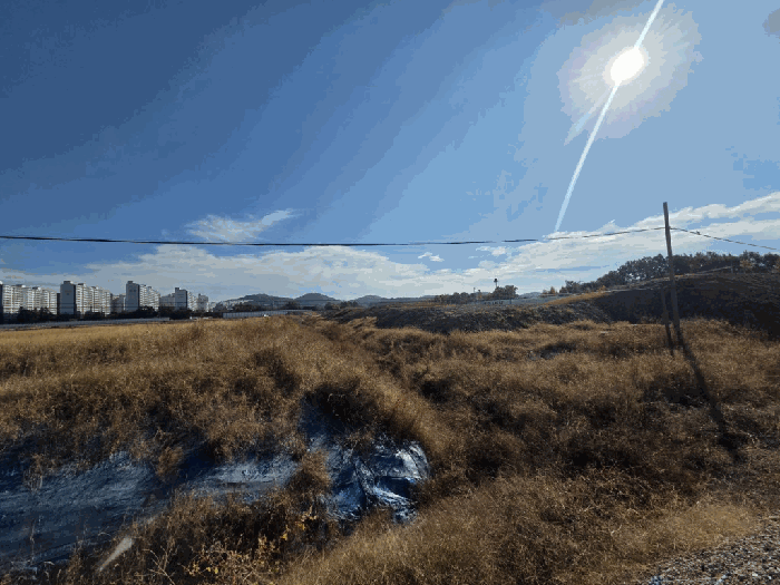 사진 7