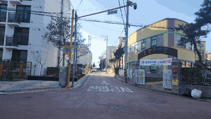 사진 5