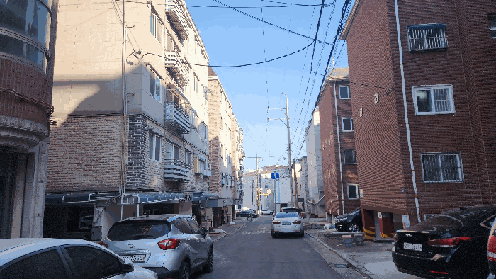 사진 7