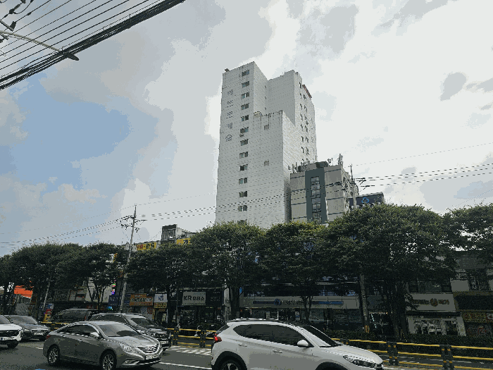 사진 8