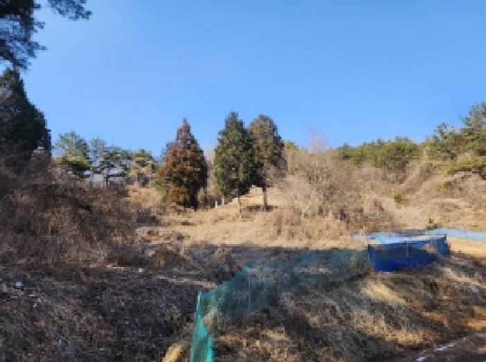 사진 1